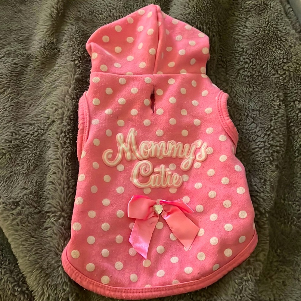 Polka dot doggie hoodie